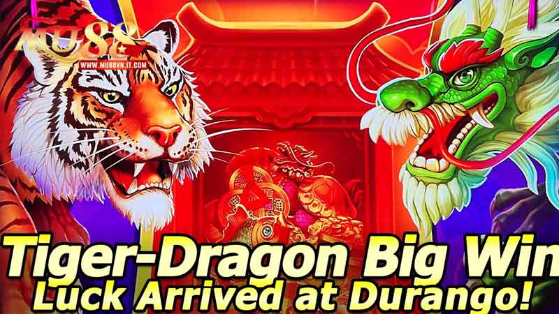 Mẹo cá cược để chiến thắng